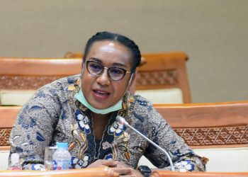 Legislator Asal Papua Dorong Pembangunan Smelter Pertama PT Freeport Indonesia di Papua