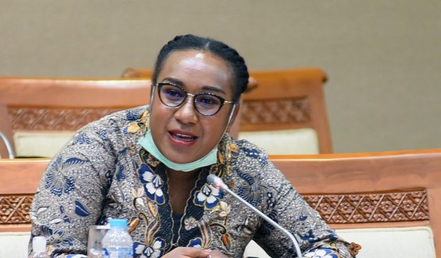 Legislator Asal Papua Dorong Pembangunan Smelter Pertama PT Freeport Indonesia di Papua