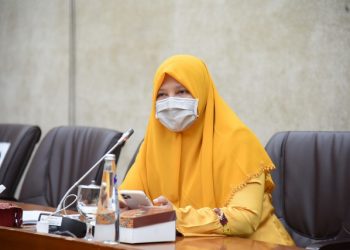 Legislator Sarankan Institusi Pengusul Penyaluran BPUM Minimal 5 Lembaga