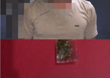 Tim Drugs Hunter Sat Resnarkoba Polres Tanjungpinang Amankan Pengguna Narkoba Jenis Ganja