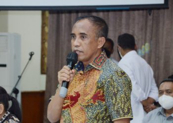 Otonomi tingkat desa perlu lebih jelas