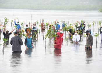 Kapolda Kepri Dampingi Presiden Republik Indonesia Ir H Joko Widodo Saat Penanaman Pohon Mangrove di Pulau Setokok