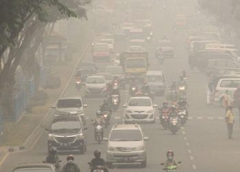 Antisipasi Dampak Kebakaran Hutan ke Negera Tetangga