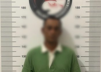 Miliki 5 Paket Ganja, Pria Ini Diringkus Satresnarkoba Polres Tanjungpinang