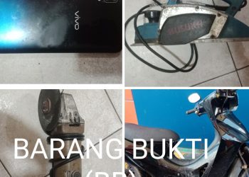 Polsek Bintan Timur Polres Bintan Berhasil Bekuk 2 Pencuri Sepeda Motor di Batam