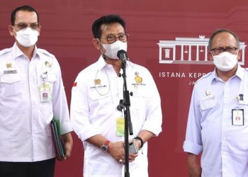Jokowi Minta Menteri Pertanian Tingkatkan Produksi Jagung