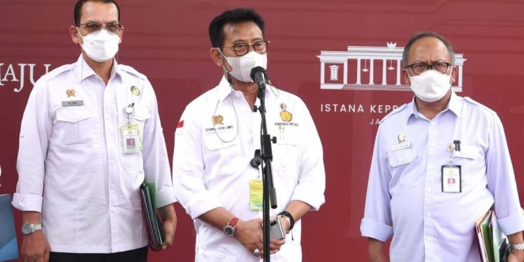 Jokowi Minta Menteri Pertanian Tingkatkan Produksi Jagung