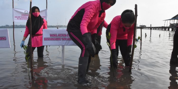 Sambut HUT HKGB Ke-69 Tahun 2021, Bhayangkari Cabang Tanjungpinang Laksanakan Penanaman Mangrove