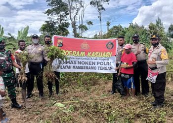 Binmas Noken Panen Bareng Petani di Mamberamo Papua
