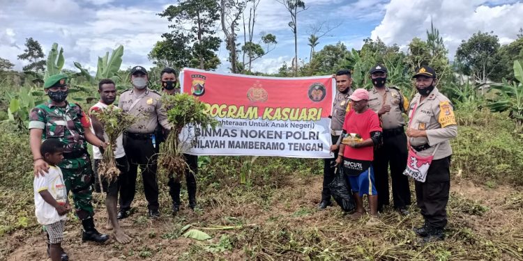 Binmas Noken Panen Bareng Petani di Mamberamo Papua