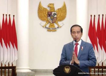 Fokus Presidensi G20 Indonesia untuk Ketahanan Kesehatan Dunia
