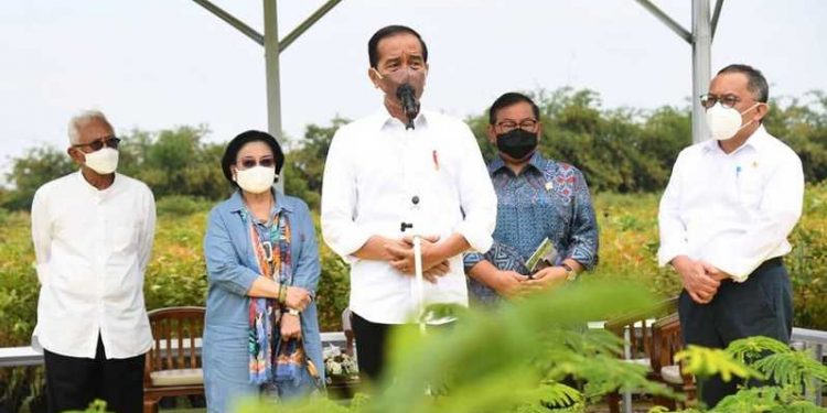 Presiden: Reklamasi Lahan Kritis Dimulai Dengan Pembangunan Persemaian