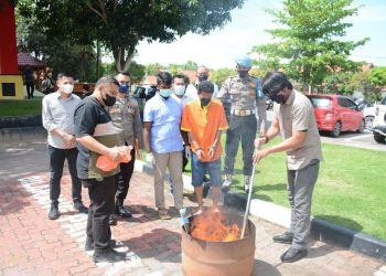 Pemusnahan Barang Bukti Narkotika Jenis Ganja Oleh Ditresnarkoba Polda Kepri