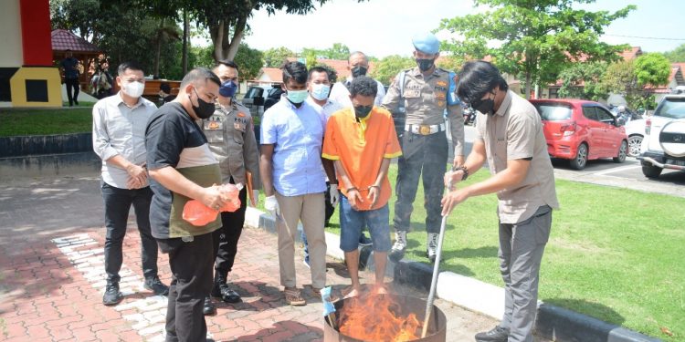 Pemusnahan Barang Bukti Narkotika Jenis Ganja Oleh Ditresnarkoba Polda Kepri