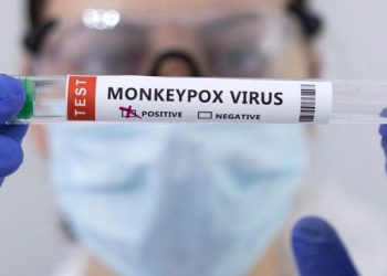 Indonesia Siaga 1 Wabah Cacar Monyet atau Monkeypox