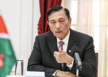 Tugas Baru Luhut Jadi Ketua Satgas Sawit, Apa Tujuannya?