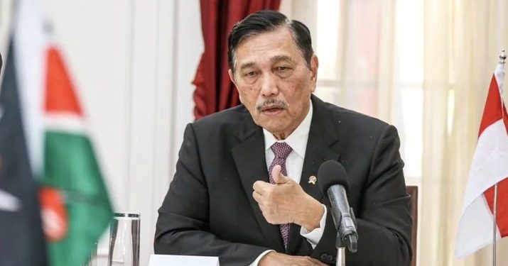 Tugas Baru Luhut Jadi Ketua Satgas Sawit, Apa Tujuannya?