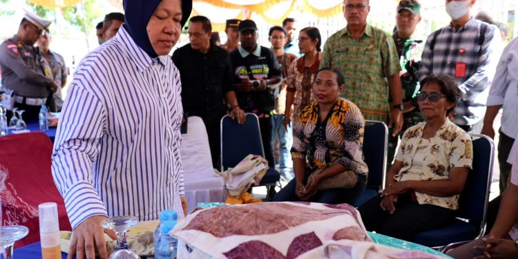 Inilah Jurus Mensos Memberikan Motivasi Kepada Pengrajin Batik di Biak