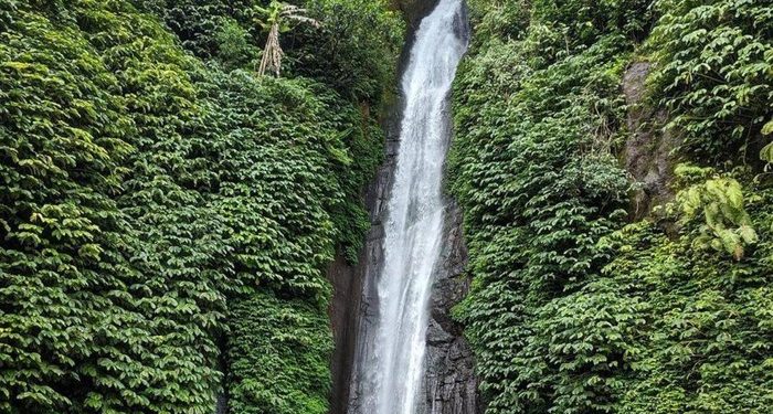5 Wisata Air Terjun di Jembrana yang Wajib Dikunjungi