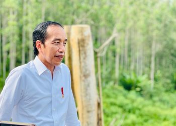 Jokowi Tandatangani Perpres Terbaru Terkait IKN, Ini Isinya