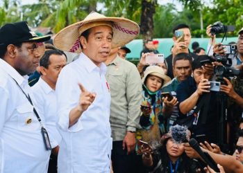 Indonesia Terbuka untuk Kerja Sama Hilirisasi dengan PNG