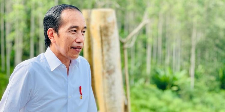 Jokowi Tandatangani Perpres Terbaru Terkait IKN, Ini Isinya