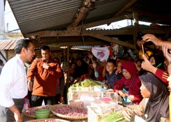 Presiden Tinjau Harga Sejumlah Komoditas Pangan di Pasar Grogolan Baru Pekalongan