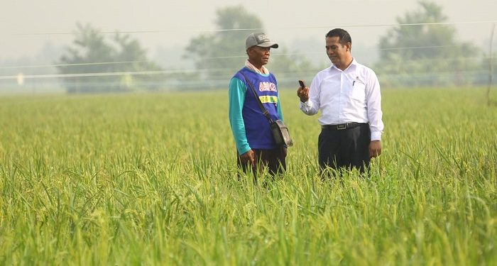 Menteri Pertanian Keluaran Dana Tambahan Targetkan Swasembada Pangan di Sumsel