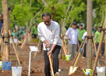 Presiden Joko Widodo dalam gerakan penanaman pohon bersama