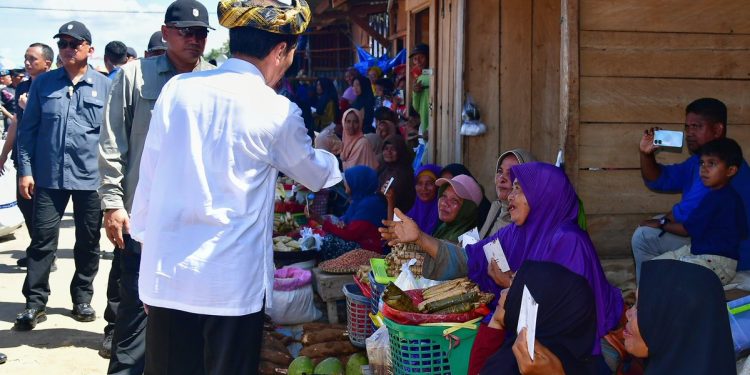Lautan Masyarakat Sambut Presiden Jokowi di Pasar Laino Raha, Muna