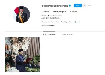 Indonesia Luncurkan Akun Instagram Resmi Negara dan Presiden