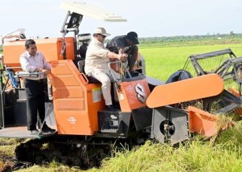 Presiden Prabowo Tinjau Proyek Cetak Sawah 1 Juta Hektare di Merauke