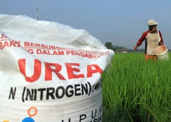 Petani Tak Tebus Pupuk Bersubsidi