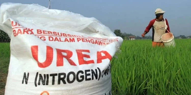 Petani Tak Tebus Pupuk Bersubsidi