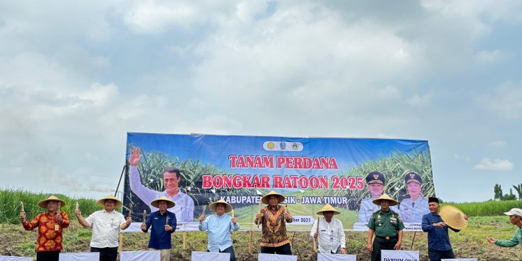 Gresik Jadi Lokus Baru Swasembada Gula,Kementan Target Tambahan 500 Hektare Tebu Baru