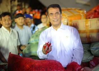 Bantu Petani Terdampak Bencana, Kementan Borong 40 Ton Cabai di Aceh
