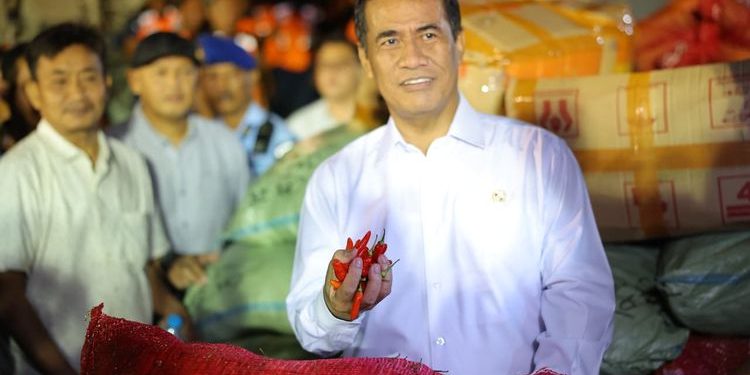 Bantu Petani Terdampak Bencana, Kementan Borong 40 Ton Cabai di Aceh